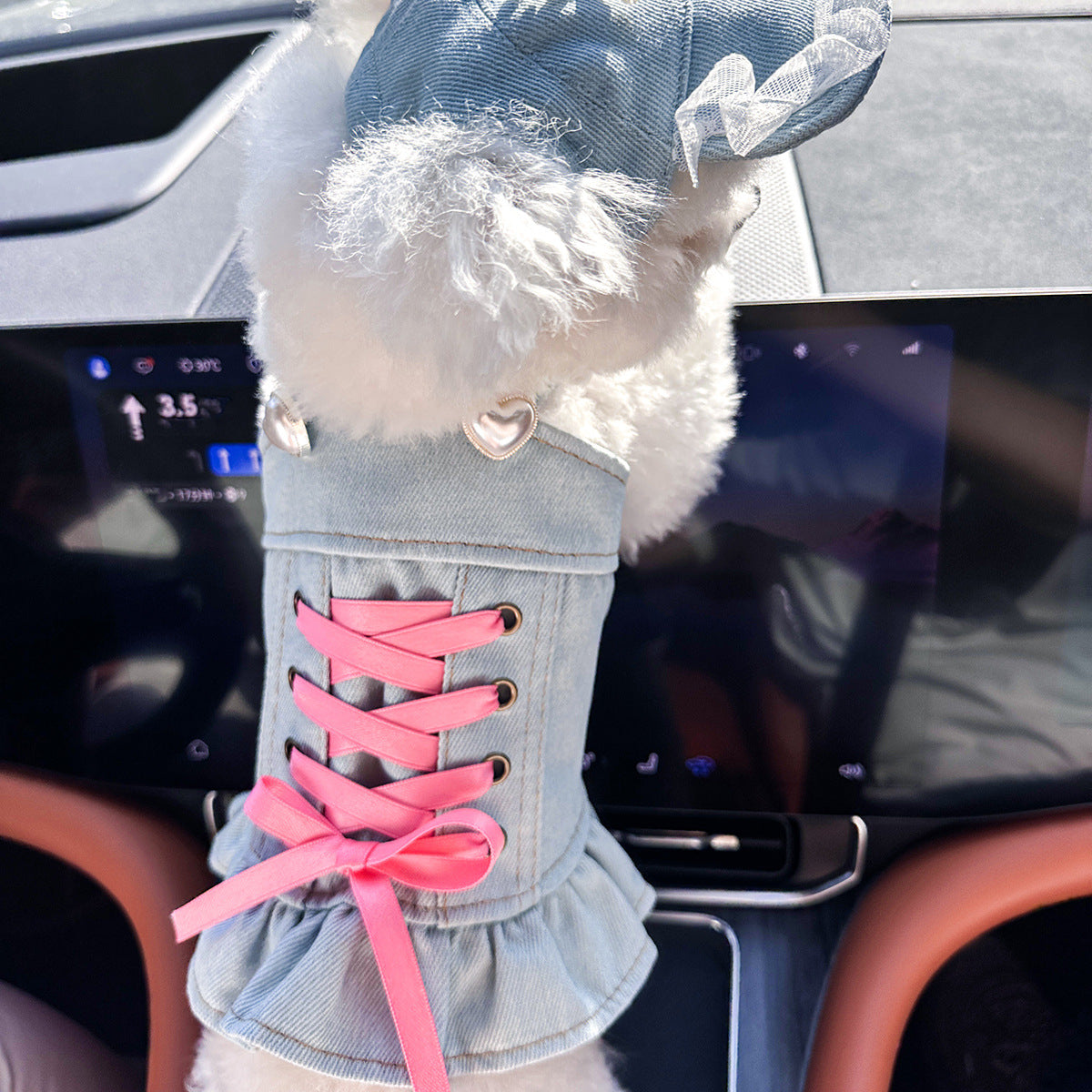 Pet Denim Skirt for Small Dogs