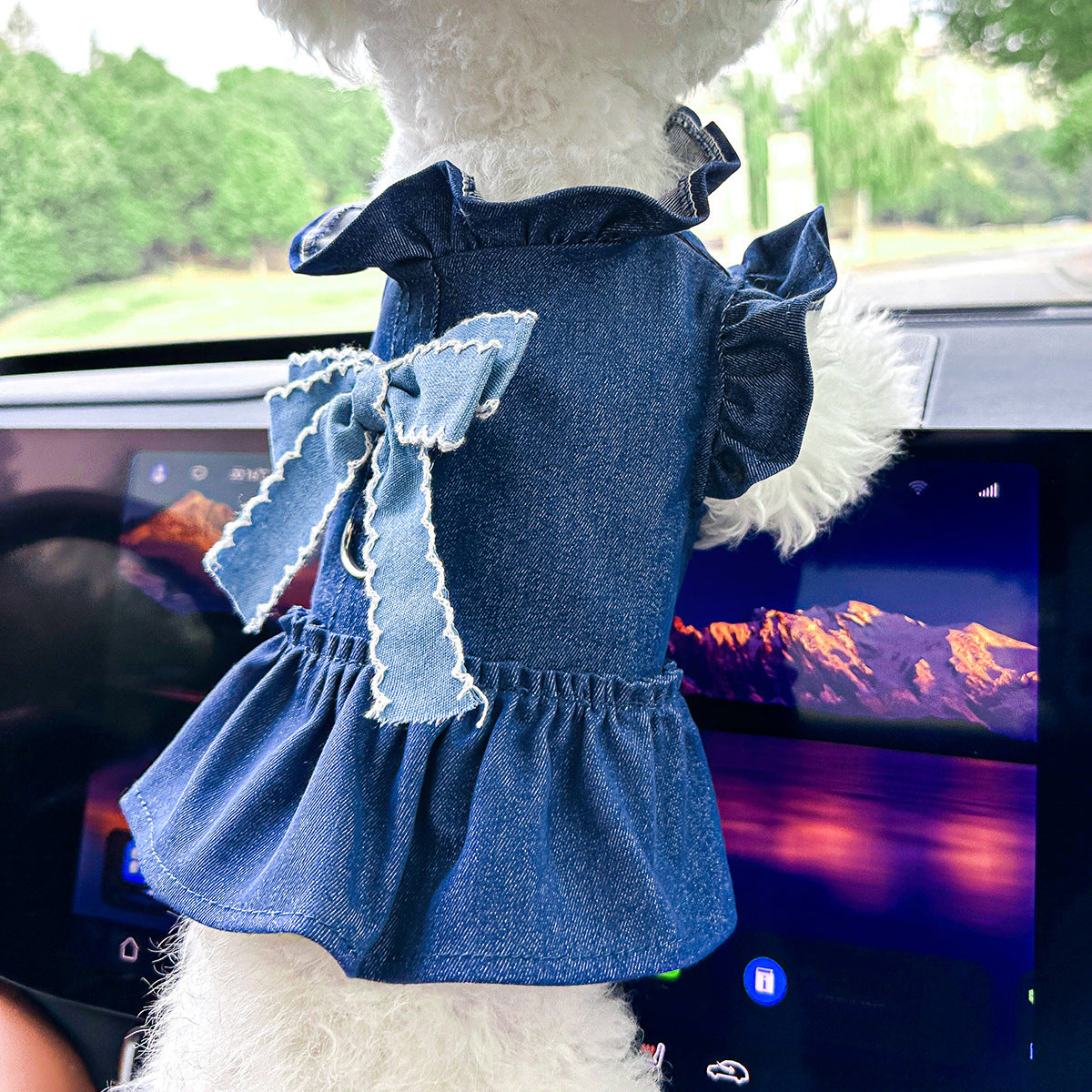 Pet Denim Skirt for Small Dogs