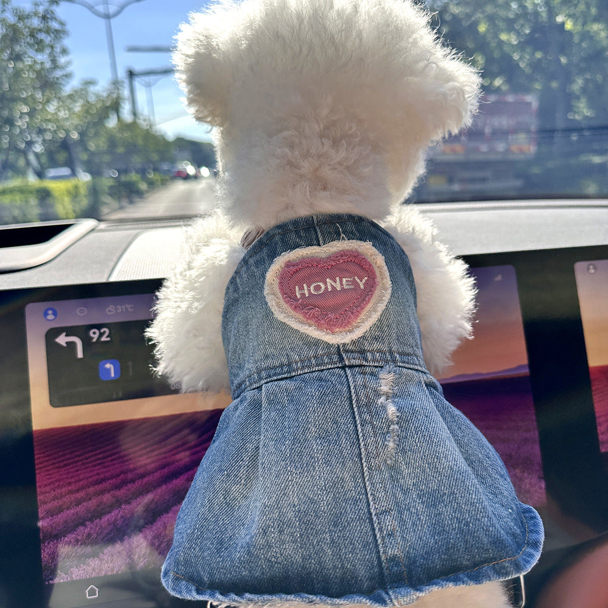 Pet Denim Skirt for Small Dogs