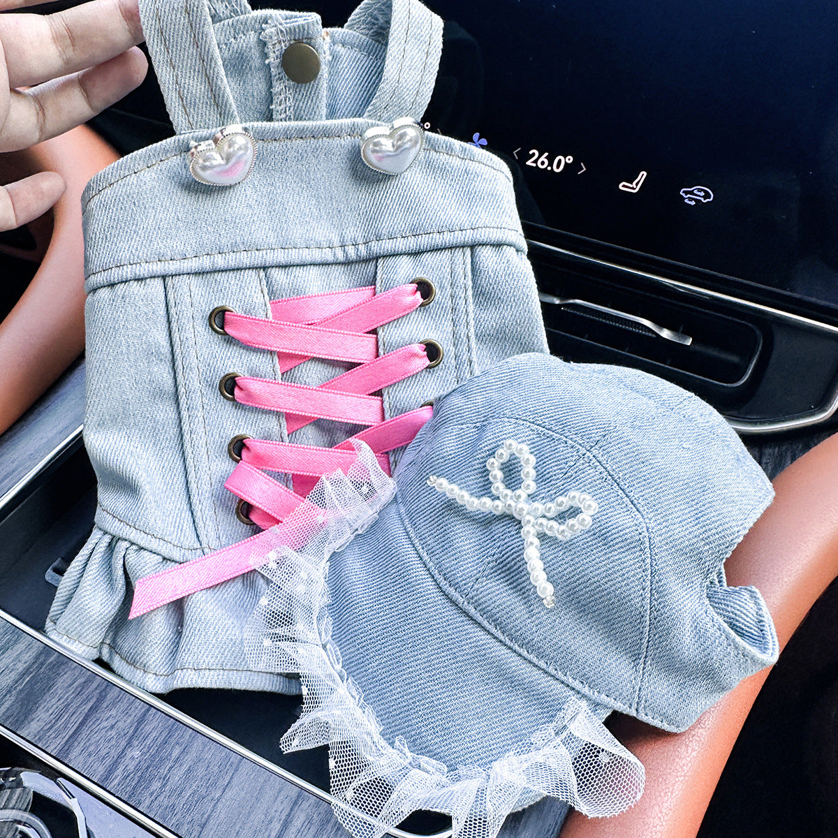 Pet Denim Skirt for Small Dogs