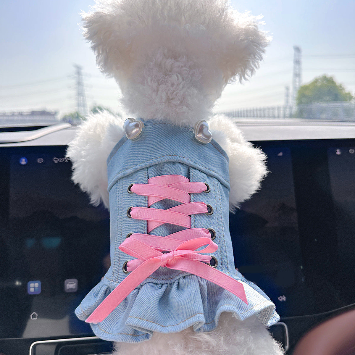 Pet Denim Skirt for Small Dogs