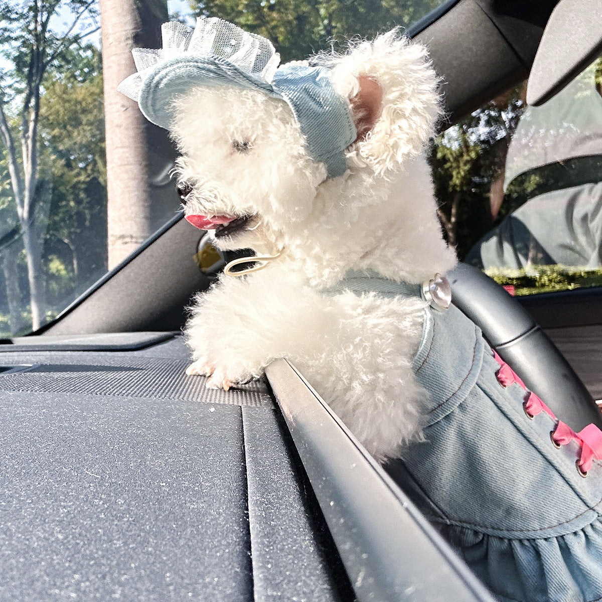 Pet Denim Skirt for Small Dogs