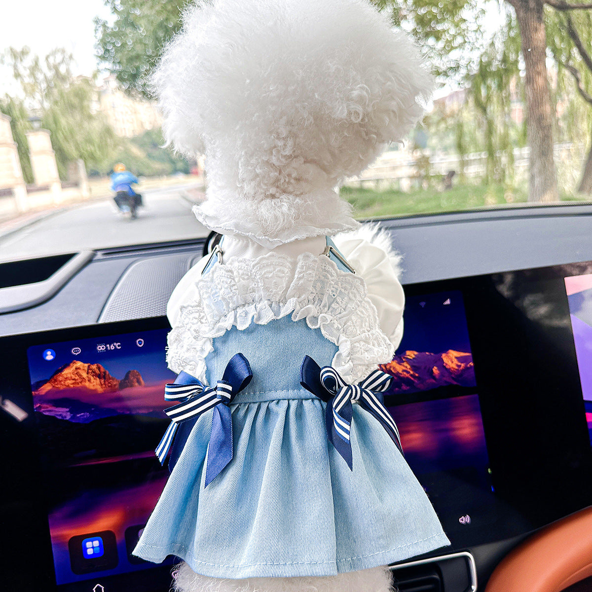Pet Denim Skirt for Small Dogs